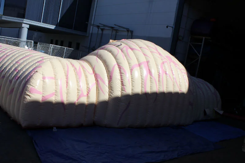 The complete digestive system exhibit set up outdoors