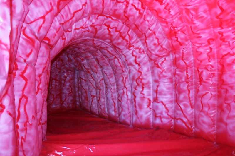 Inside a giant walk-through anatomy exhibit
